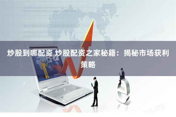 炒股到哪配资 炒股配资之家秘籍：揭秘市场获利策略