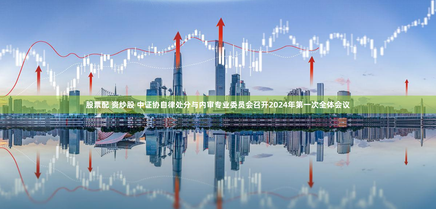 股票配 资炒股 中证协自律处分与内审专业委员会召开2024年第一次全体会议
