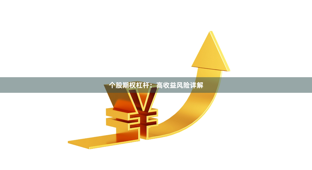 个股期权杠杆：高收益风险详解